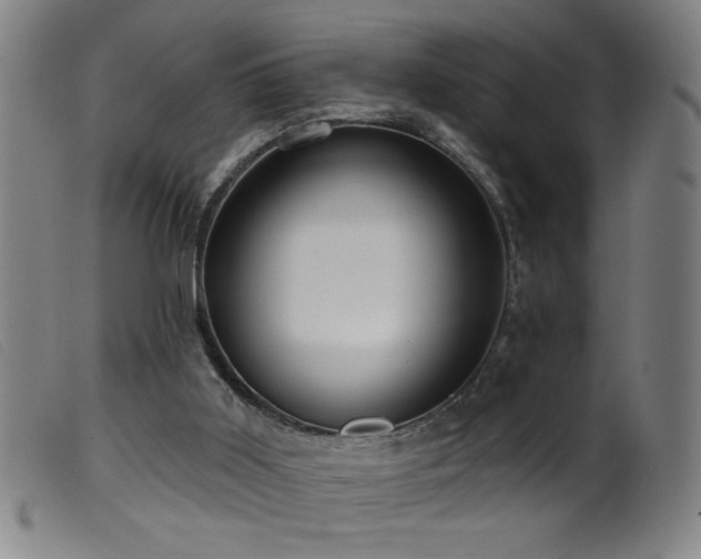 X0000099540011200805161439