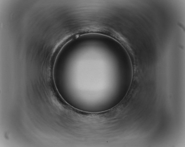 X0000099540012200805161439