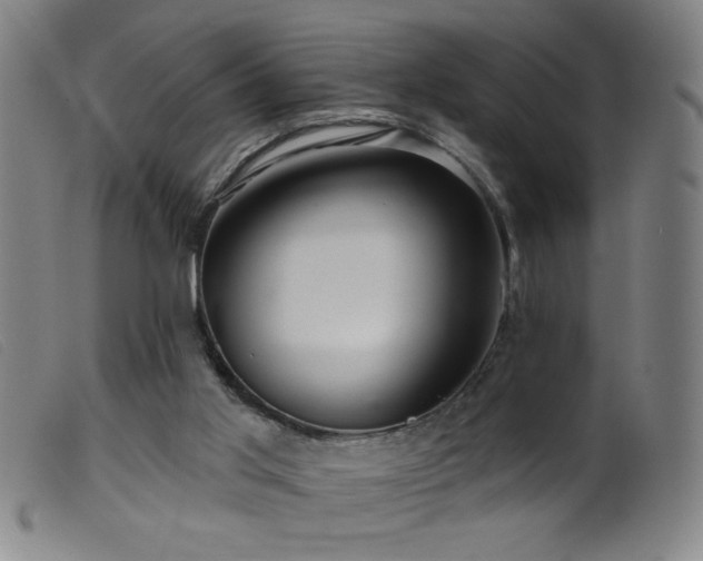 X0000099540013200805161439