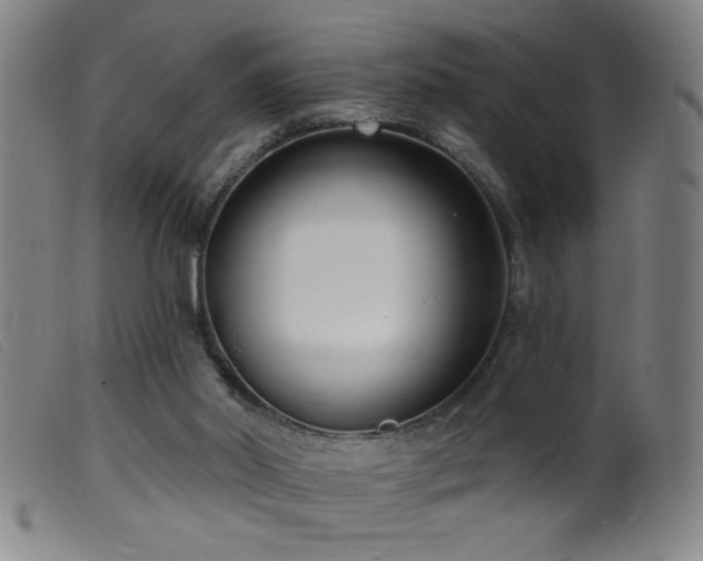 X0000099540014200805161439