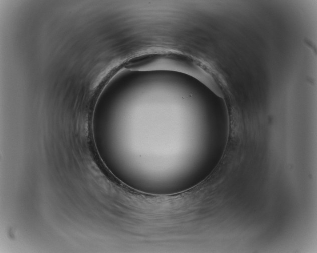 X0000099540015200805161439