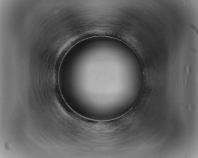 X0000099540016200805161438