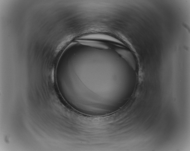 X0000099540019200805161438