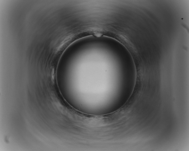 X0000099540024200805161438