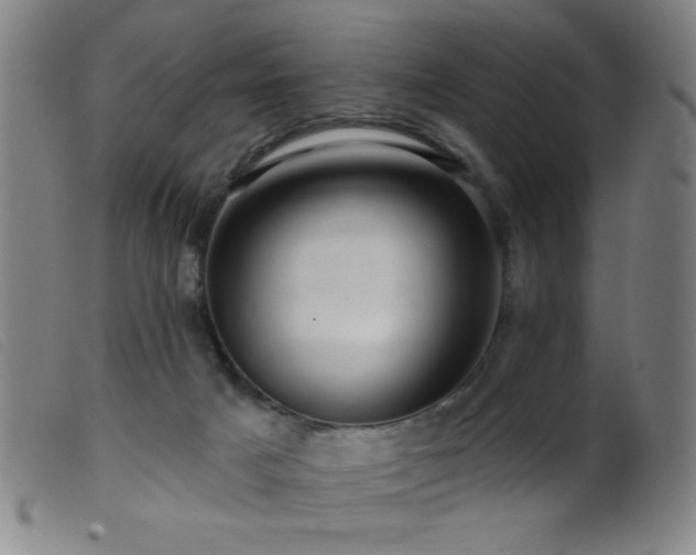 X0000099540025200805161438