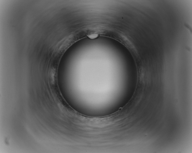 X0000099540026200805161438