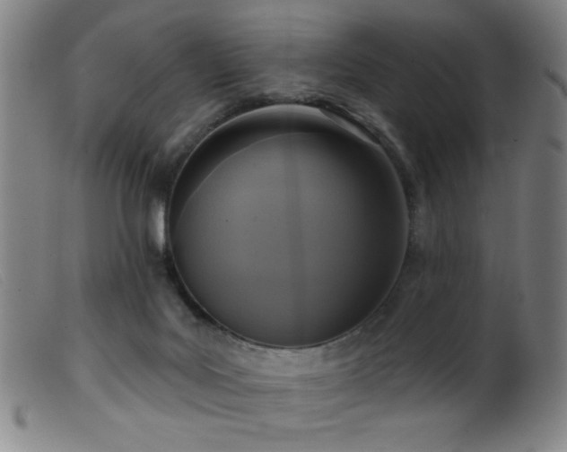 X0000099540027200805161438