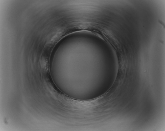 X0000099540031200805161438