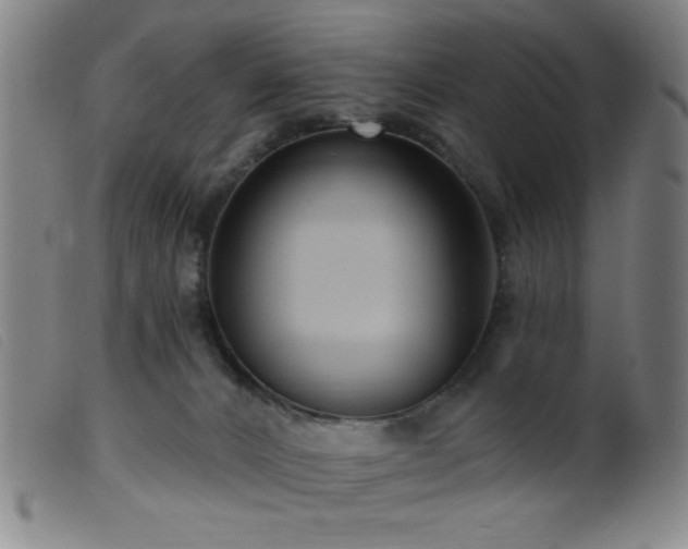 X0000099540032200805161438