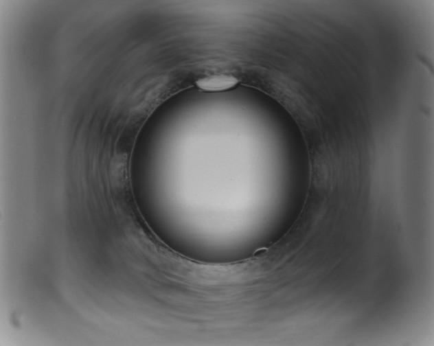 X0000099540034200805161438