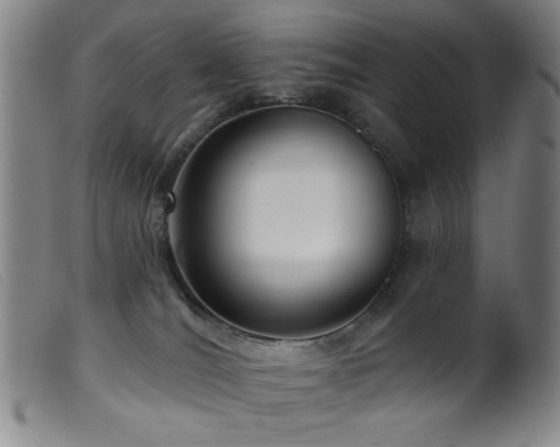 X0000099540036200805161438