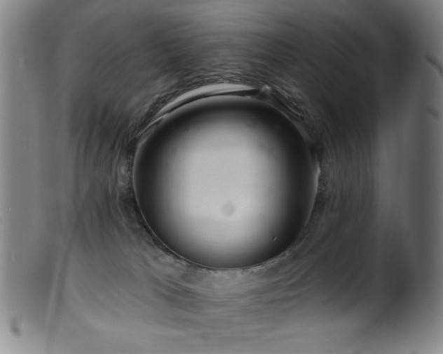 X0000099540037200805161438