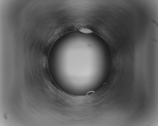 X0000099540038200805161438