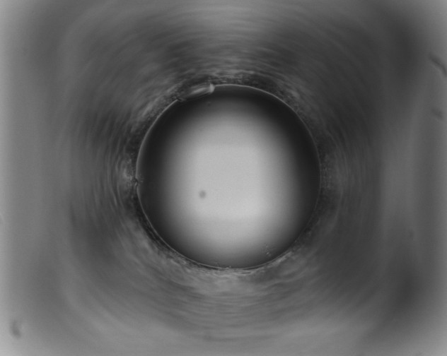 X0000099540040200805161438