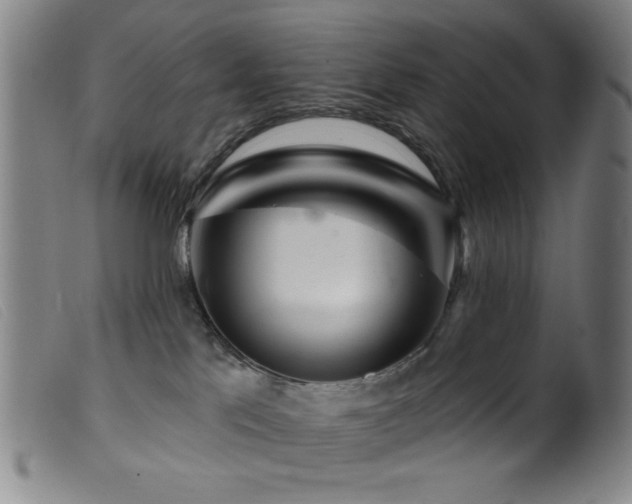 X0000099540041200805161438