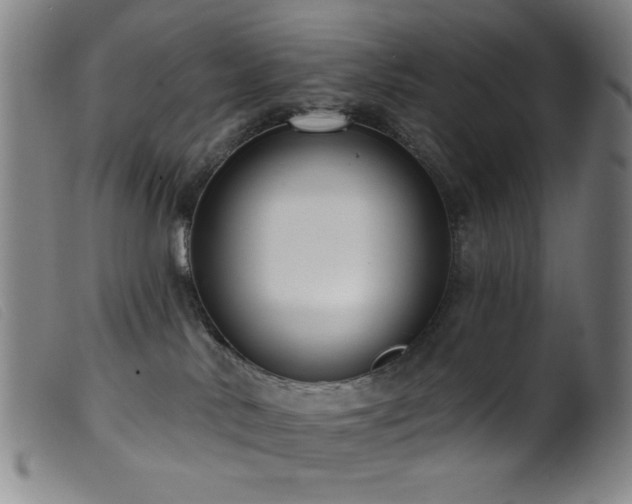 X0000099540042200805161438