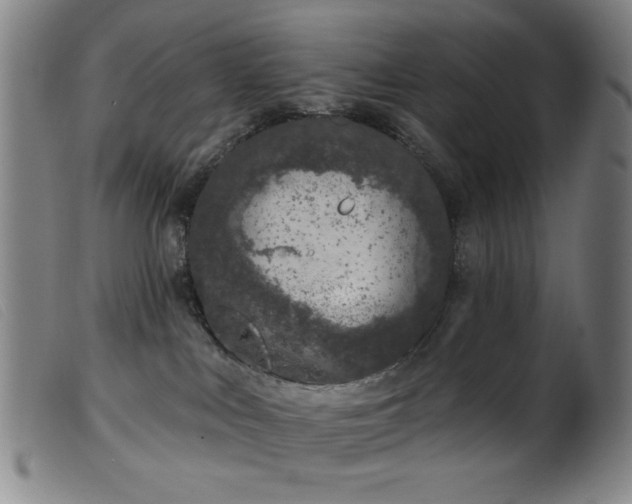 X0000099540043200805161438