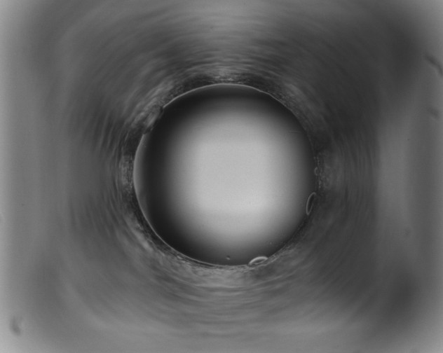 X0000099540044200805161438