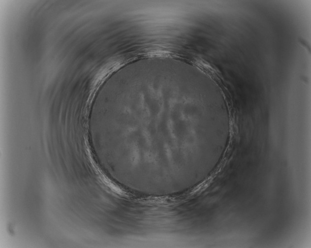 X0000099540049200805161437