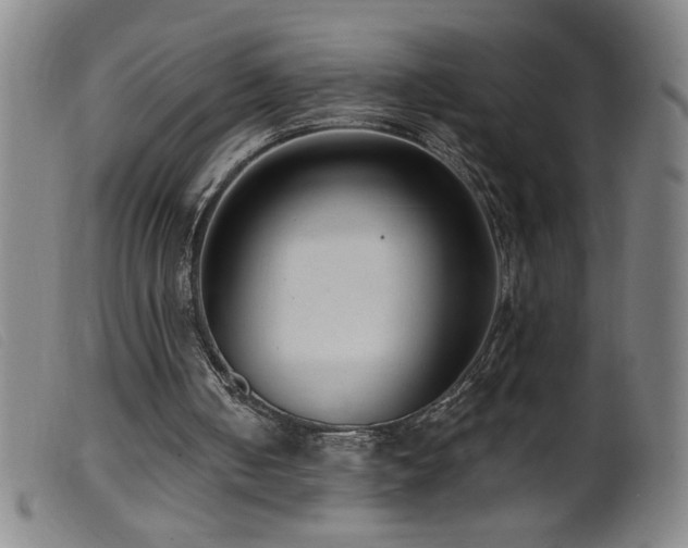 X0000099540050200805161437