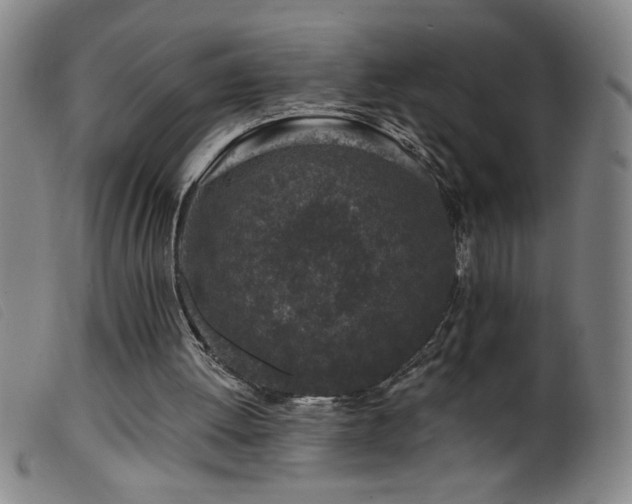 X0000099540052200805161437