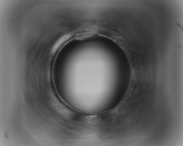 X0000099540054200805161437