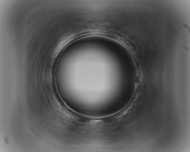 X0000099540055200805161437