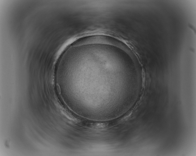 X0000099540056200805161437