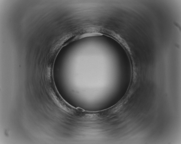 X0000099540057200805161437