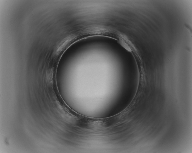 X0000099540058200805161437