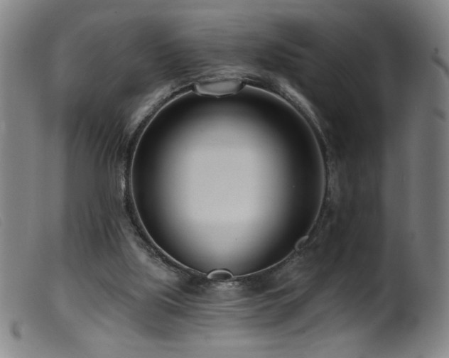 X0000099540059200805161438