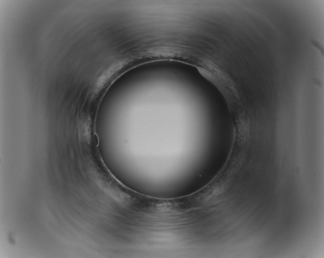 X0000099540064200805161438