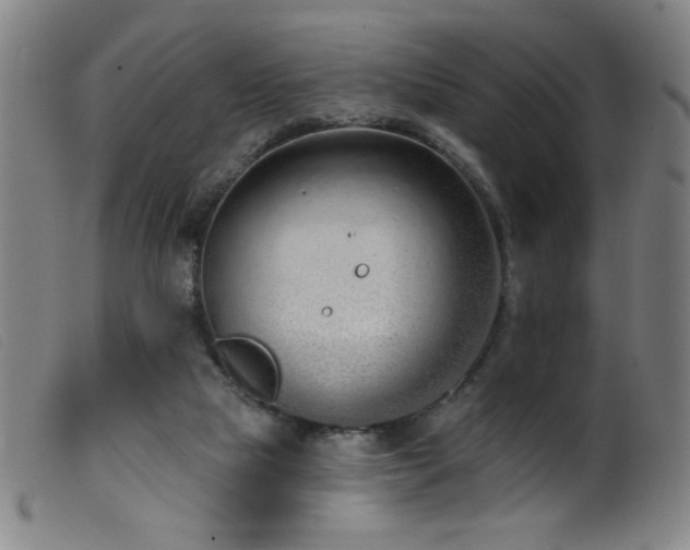 X0000099540065200805161438