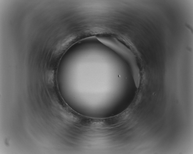 X0000099540066200805161438