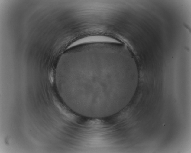 X0000099540069200805161438