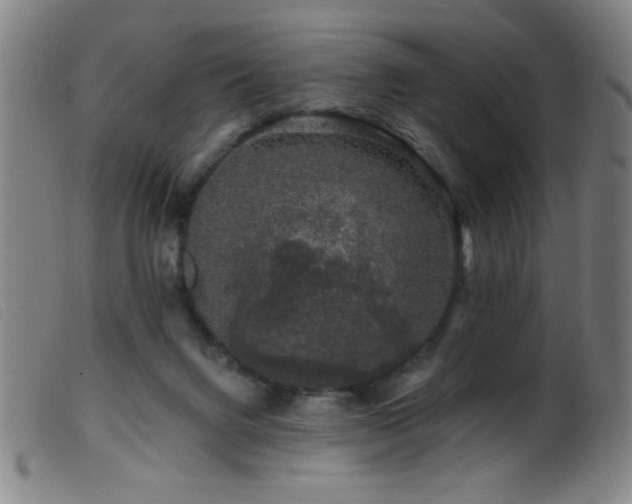 X0000099540072200805161438