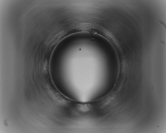 X0000099540073200805161438