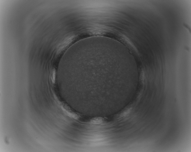 X0000099540076200805161438