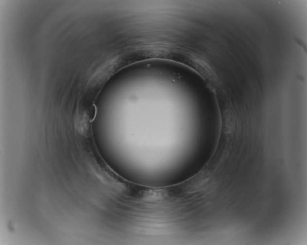 X0000099540077200805161438