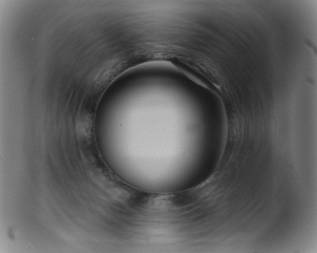 X0000099540078200805161438