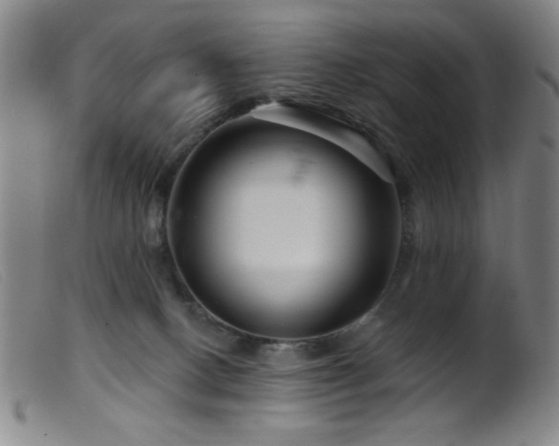 X0000099540082200805161438