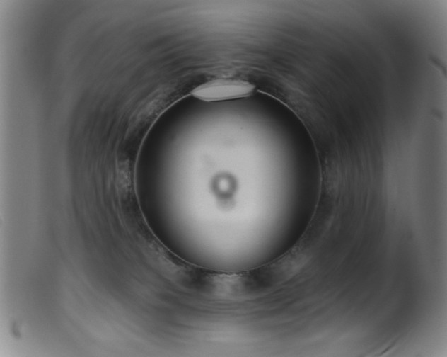 X0000099540085200805161438