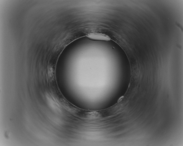 X0000099540087200805161438