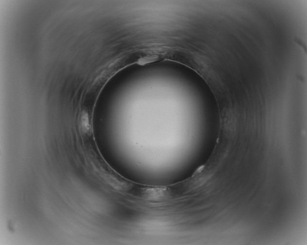 X0000099540089200805161438