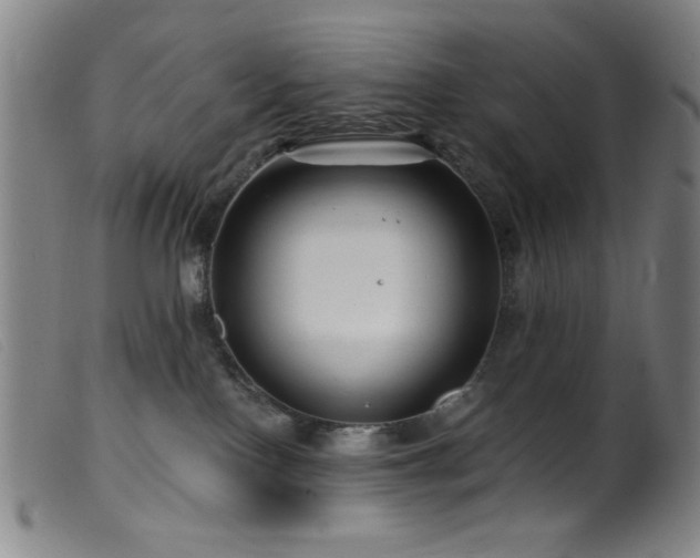 X0000099540090200805161438