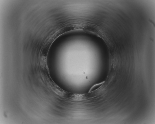 X0000099540093200805161438