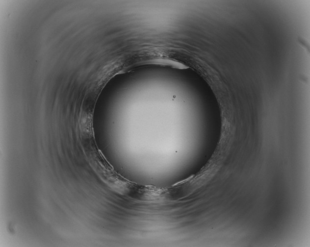 X0000099540096200805161438