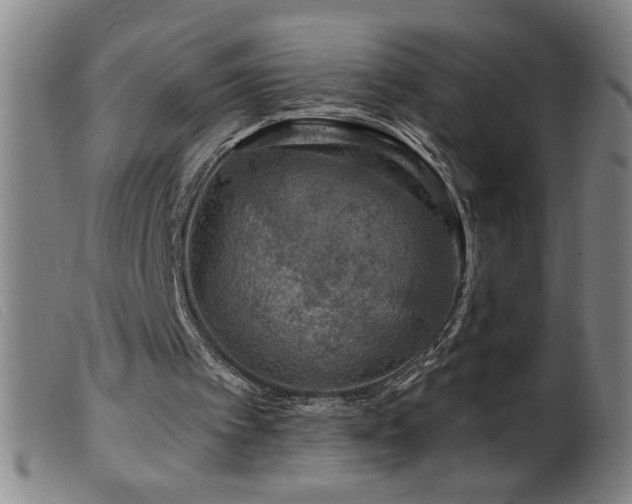 X0000099540097200805161437