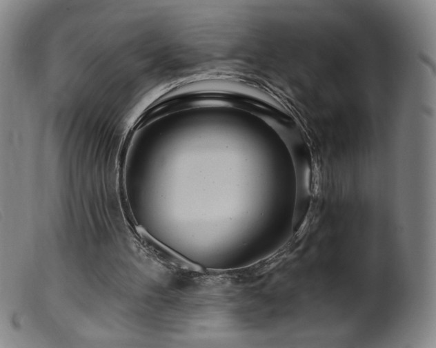 X0000099540100200805161437