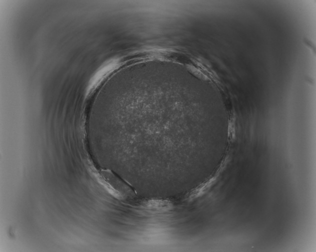 X0000099540101200805161437